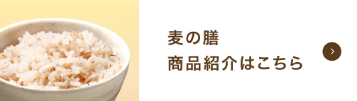 麦の膳商品紹介